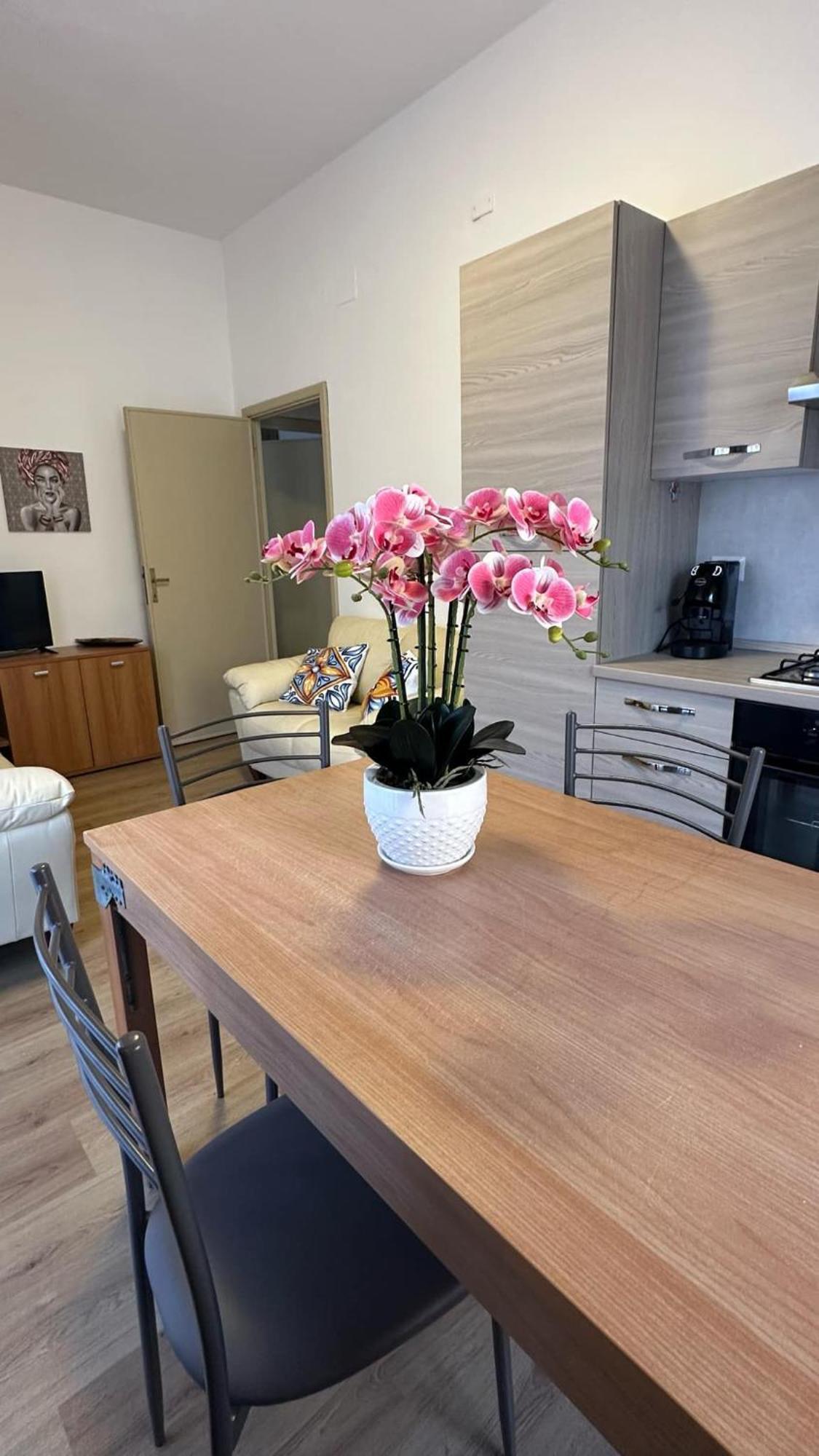 Apartament Davide'S Sardinian Escape - Centro Storico-5Min Di Auto Dal Mare Siniscola Zewnętrze zdjęcie